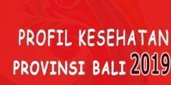 profil kesehatan 2019