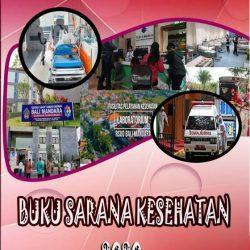 sarana kesehatan bali 2020