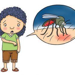 demam berdarah dan chikungunya