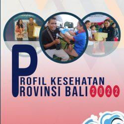 profil kesehatan bali 2022