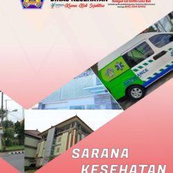 sarana kesehatan bali 2022