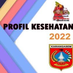 profil kesehatan karangasem 2022