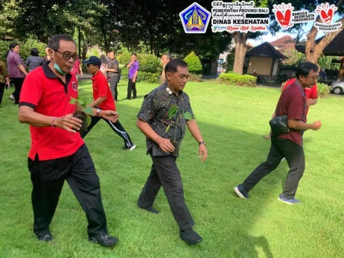 tanam pohon cabai 2024