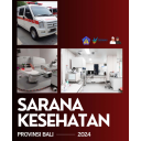 Sarana Kesehatan Bali 2024