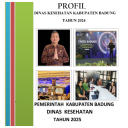 Profil Kesehatan Badung 2024